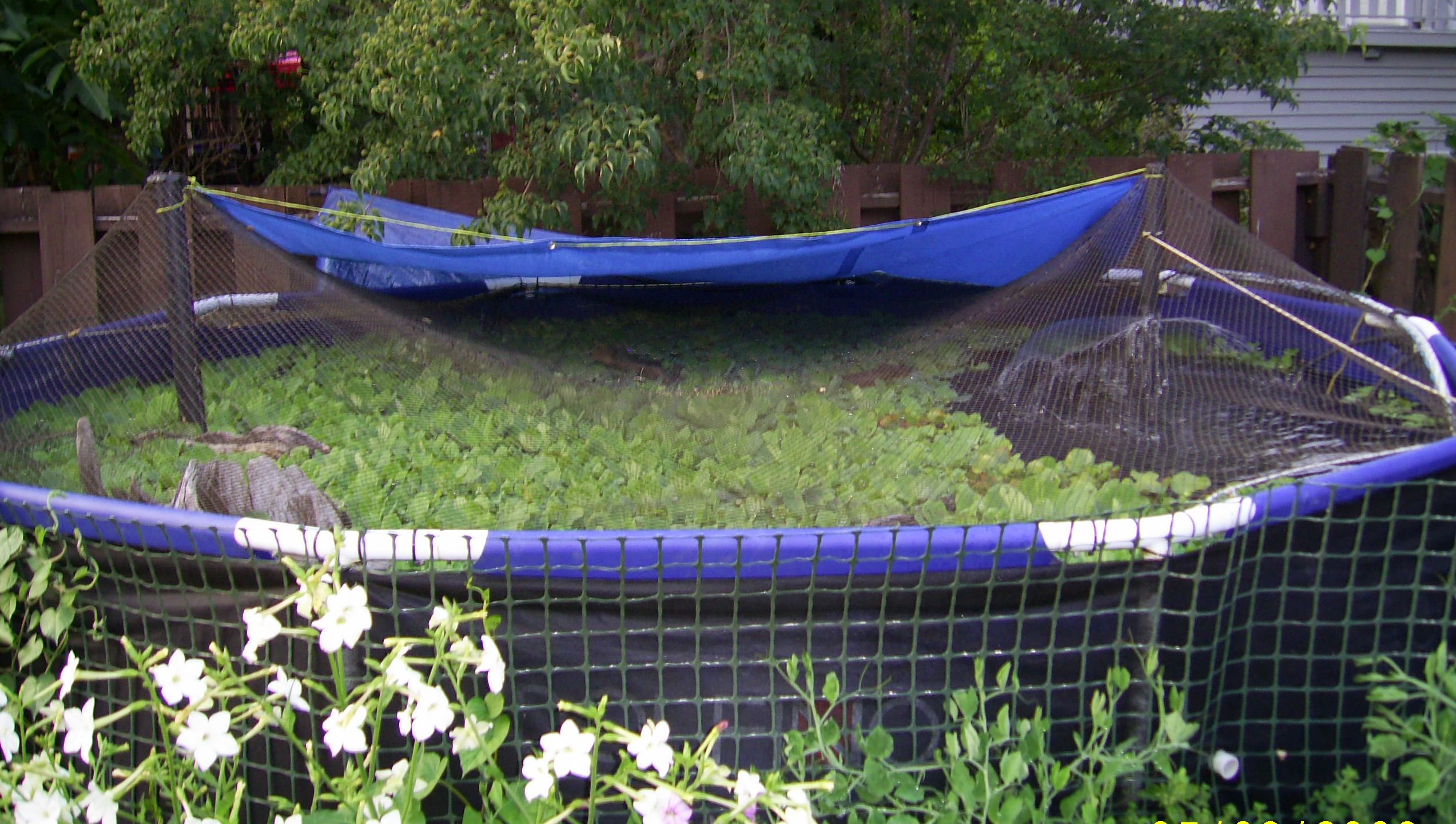 Fresh Varal Fish Cherthala Delivery